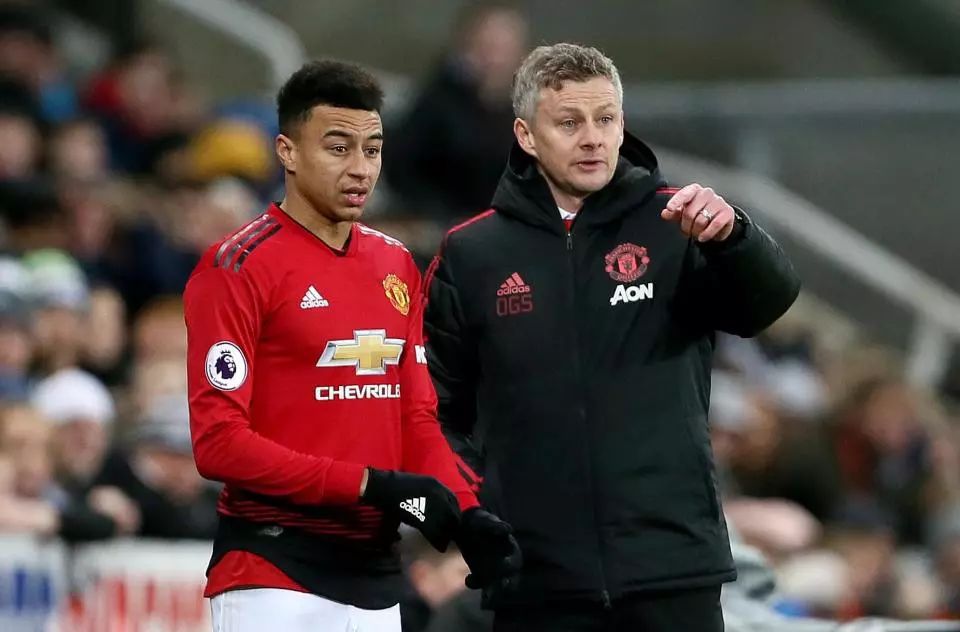 是因为她不 是因为她不